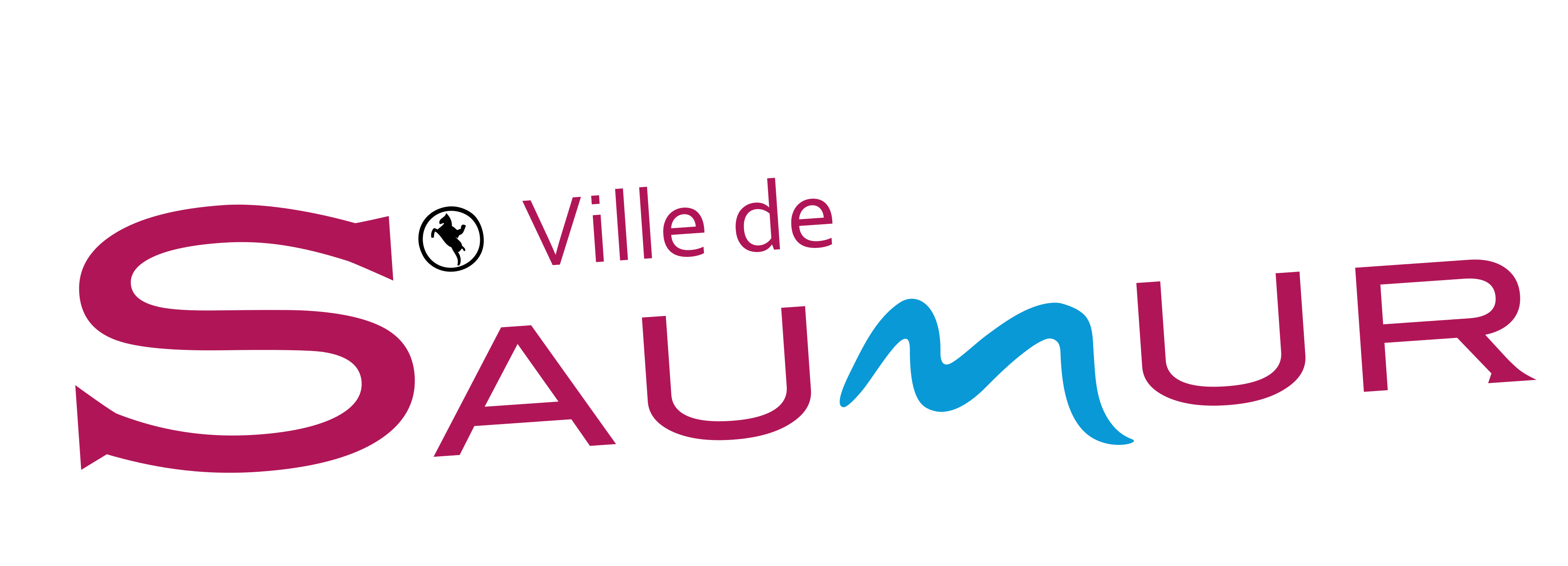 Ville de Saumur
